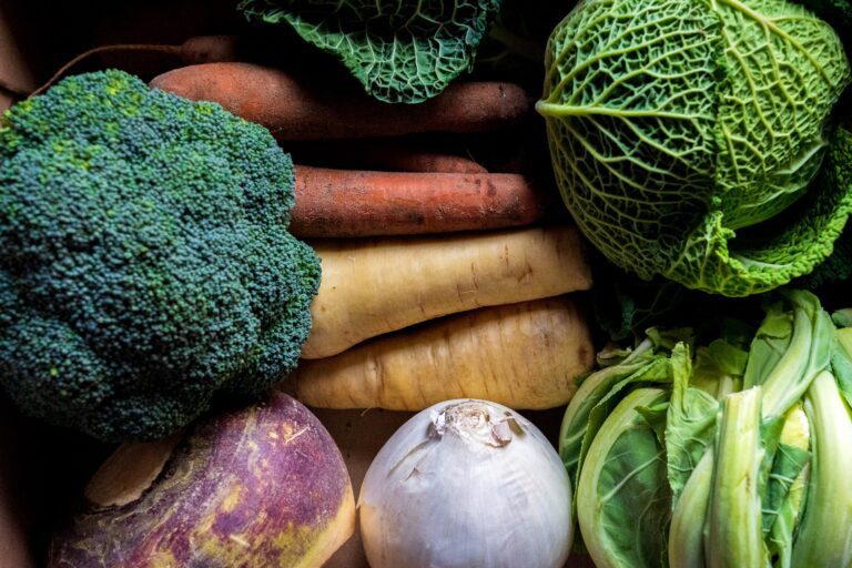 Broccoli, carrots, and lettuce displayed on a table